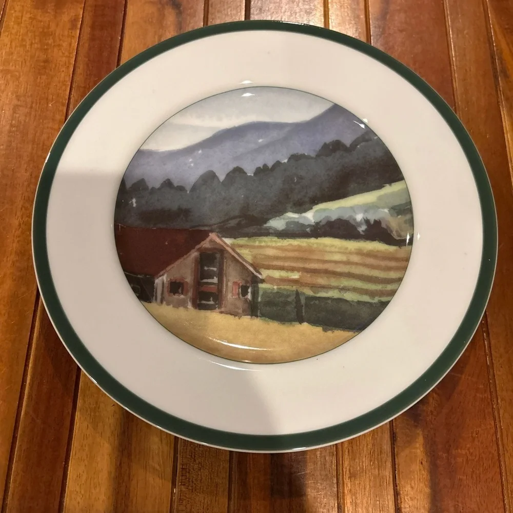 Williams-Sonoma Sonoma County Salad Plate, Made in Japan, 8 1/4